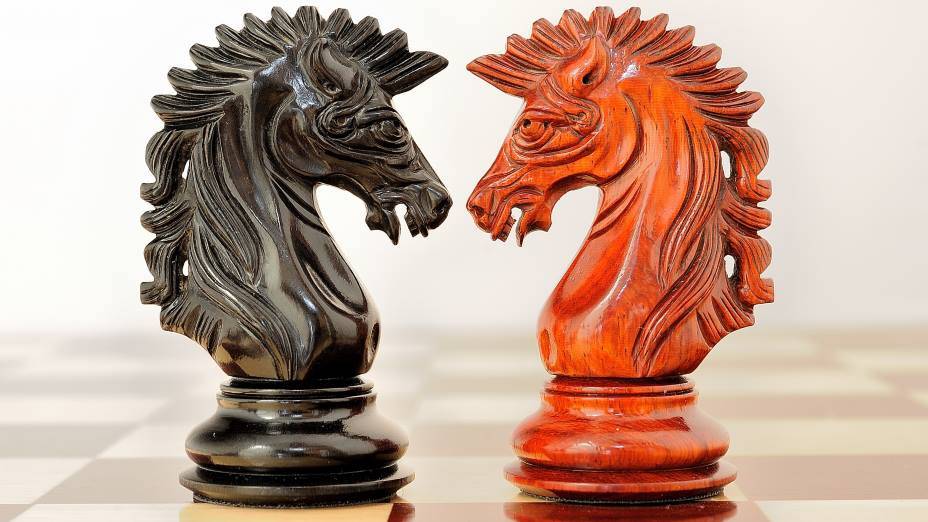 2 коня шахматы. Шахматы Стаунтон ebony. Шахматные фигуры. Шахматный конь. Шахматные фигуры деревянные.