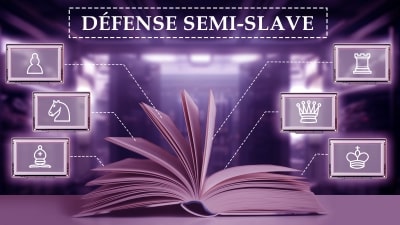 Semi-Slave (09)